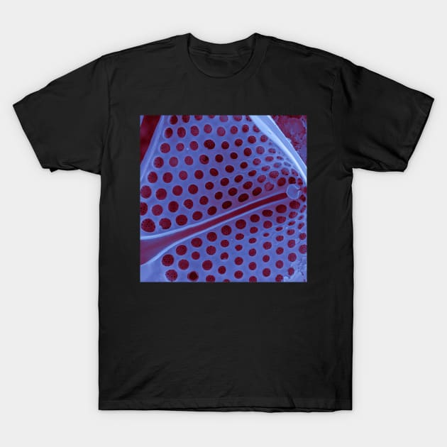 Diatom - Asteromphalus in SEM (internal, purple) T-Shirt by DiatomsATTACK